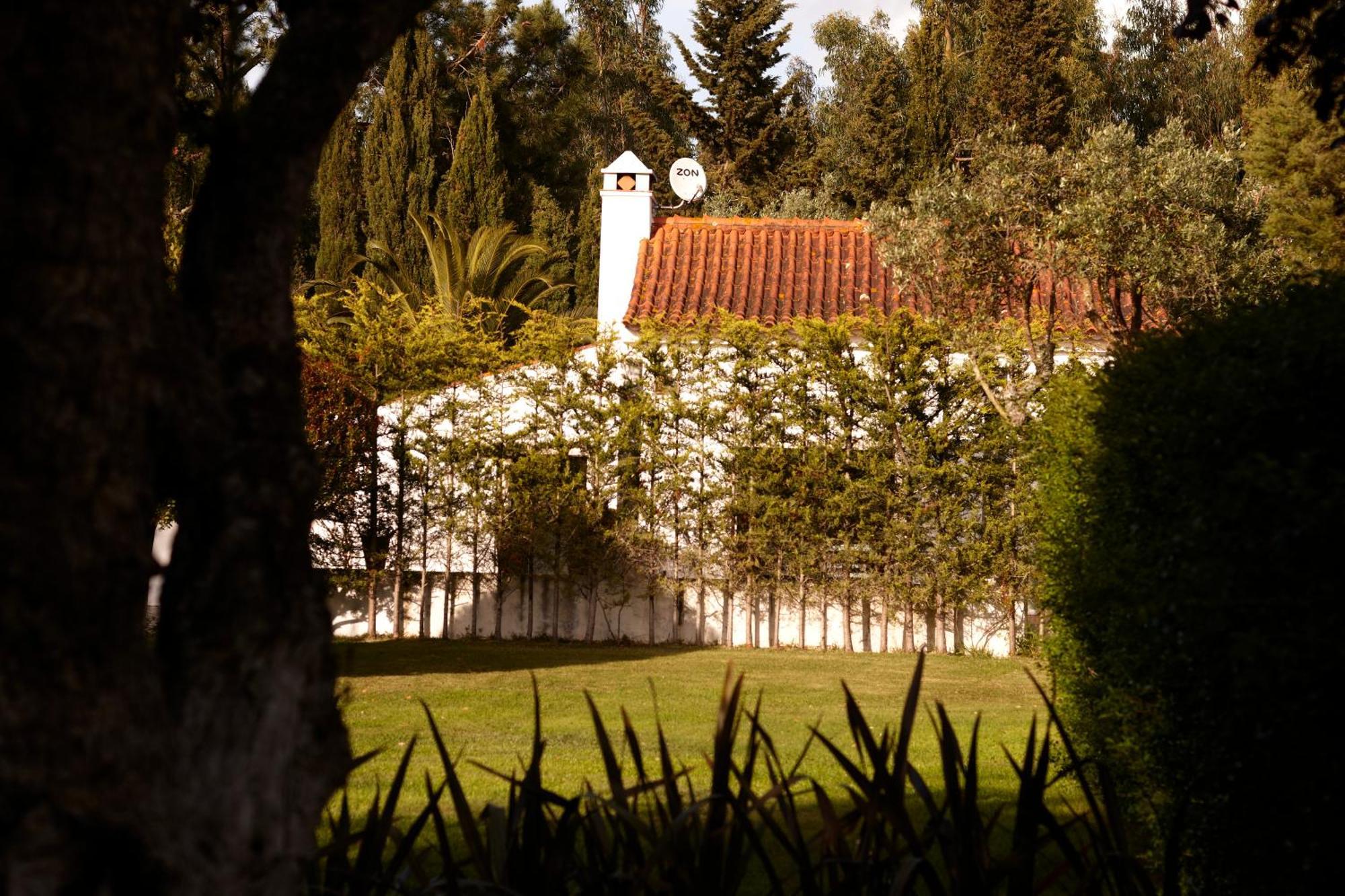 알데이아 두 메코 Quinta Do Miguel 빌라 외부 사진