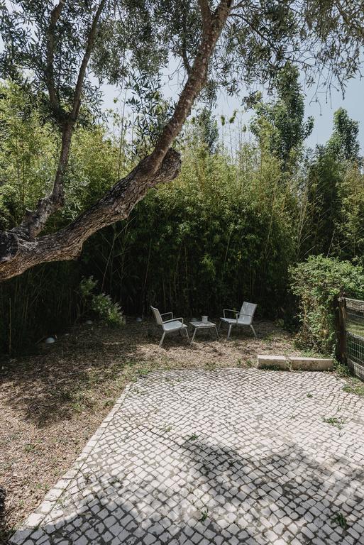 알데이아 두 메코 Quinta Do Miguel 빌라 외부 사진