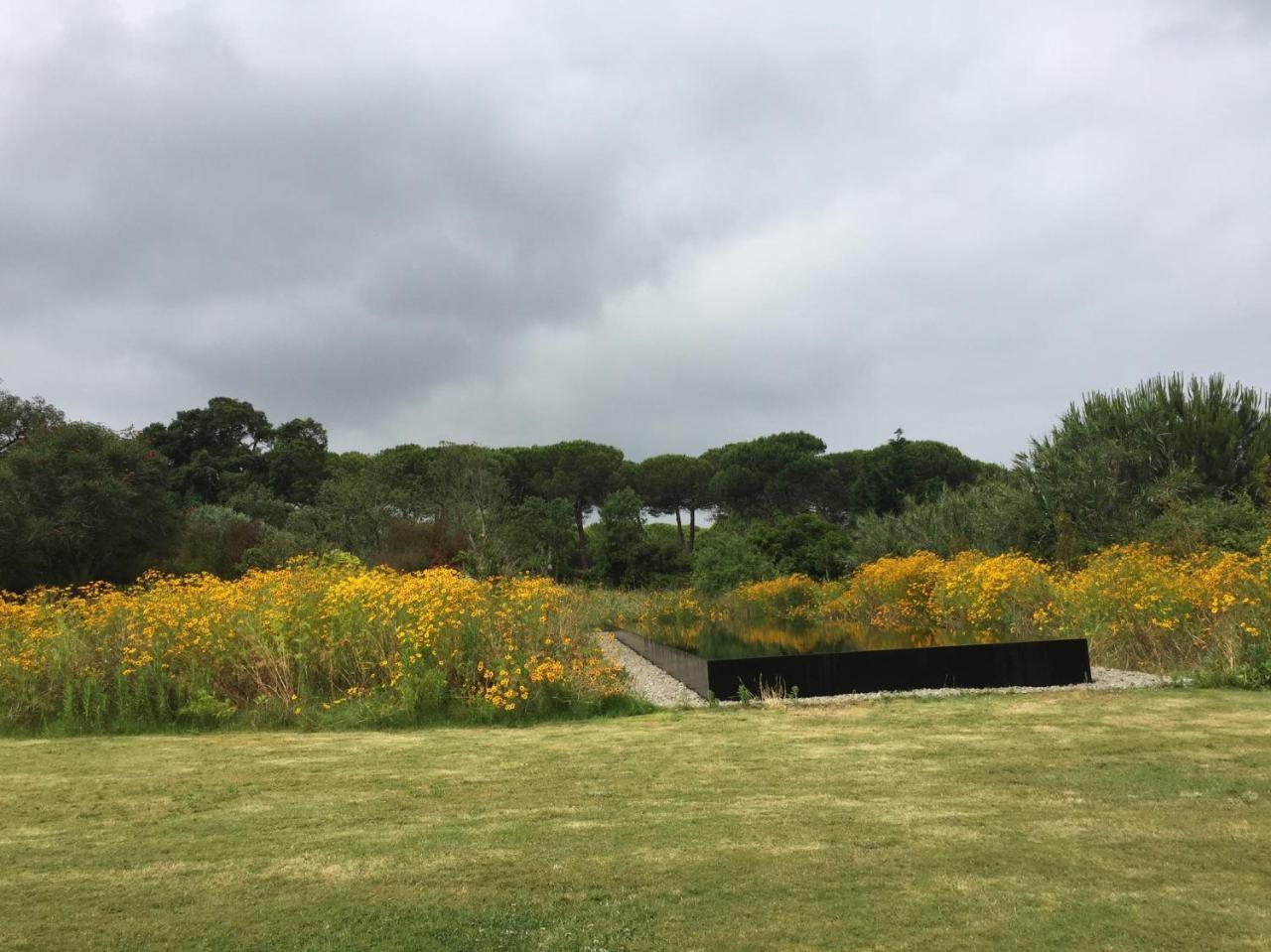 알데이아 두 메코 Quinta Do Miguel 빌라 외부 사진